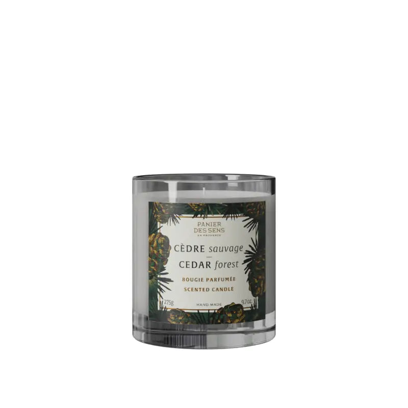 Cedar Forest Scented Candle
