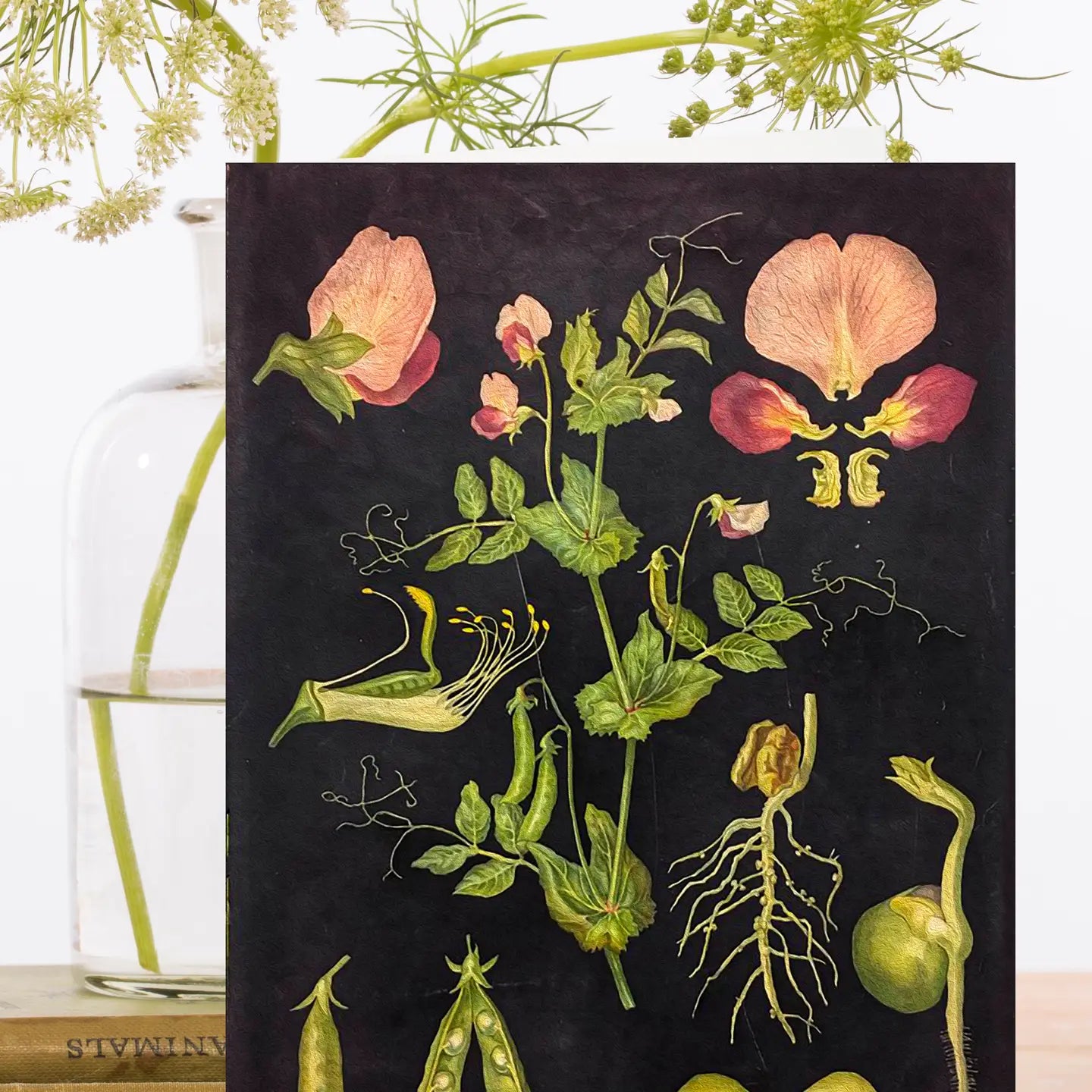 Botanical Greeting Card
