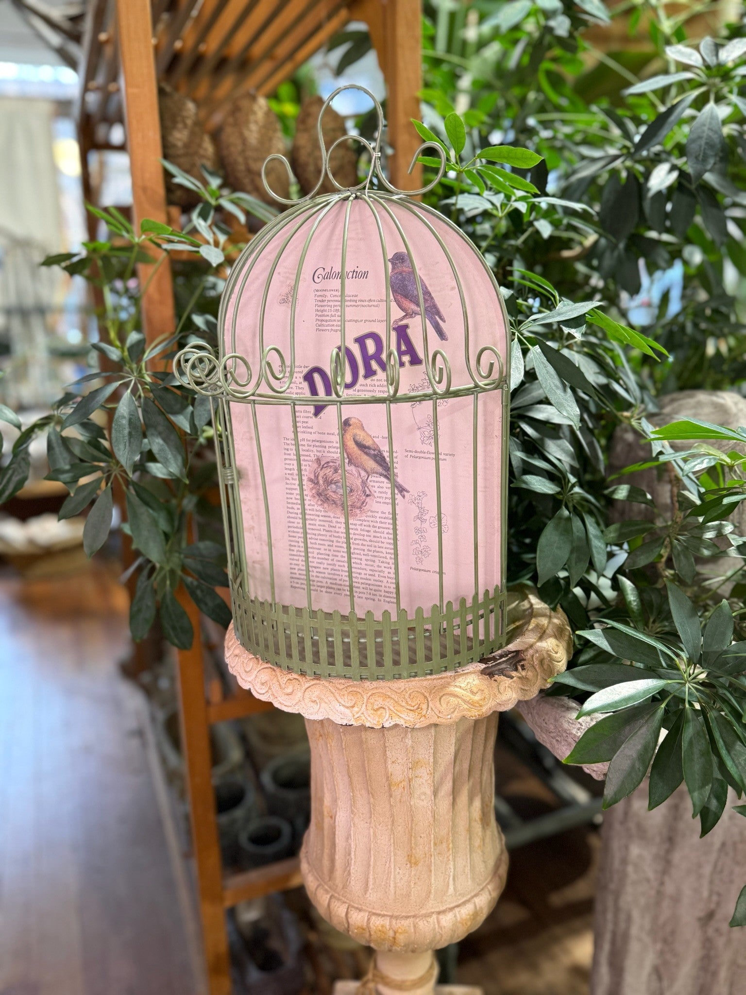Half Bird Cage - Home Collection Size