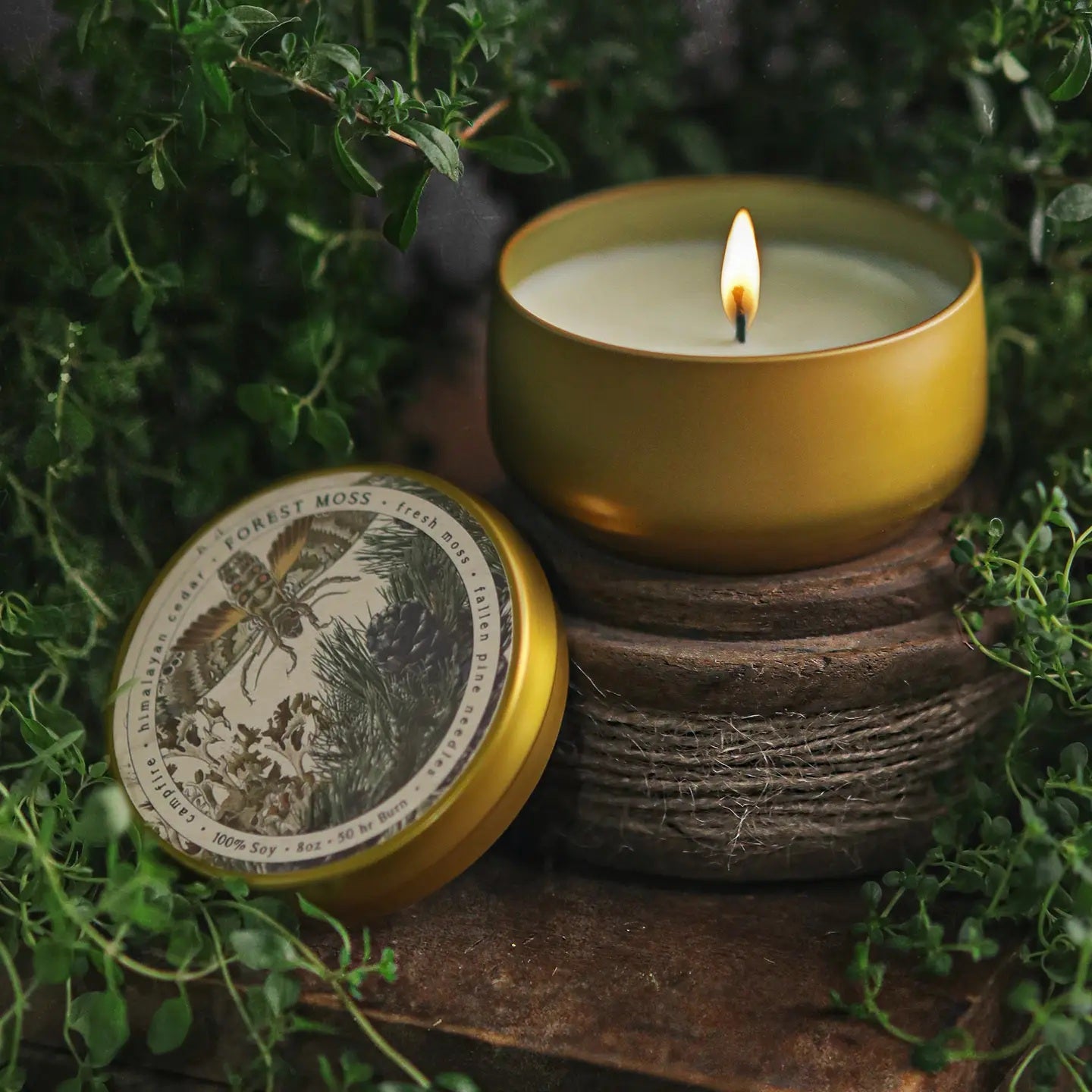 Forest Moss Botanica Candle