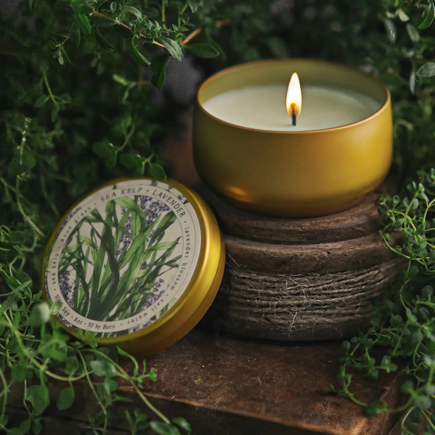 Sea Kelp + Lavender Botanica Candle