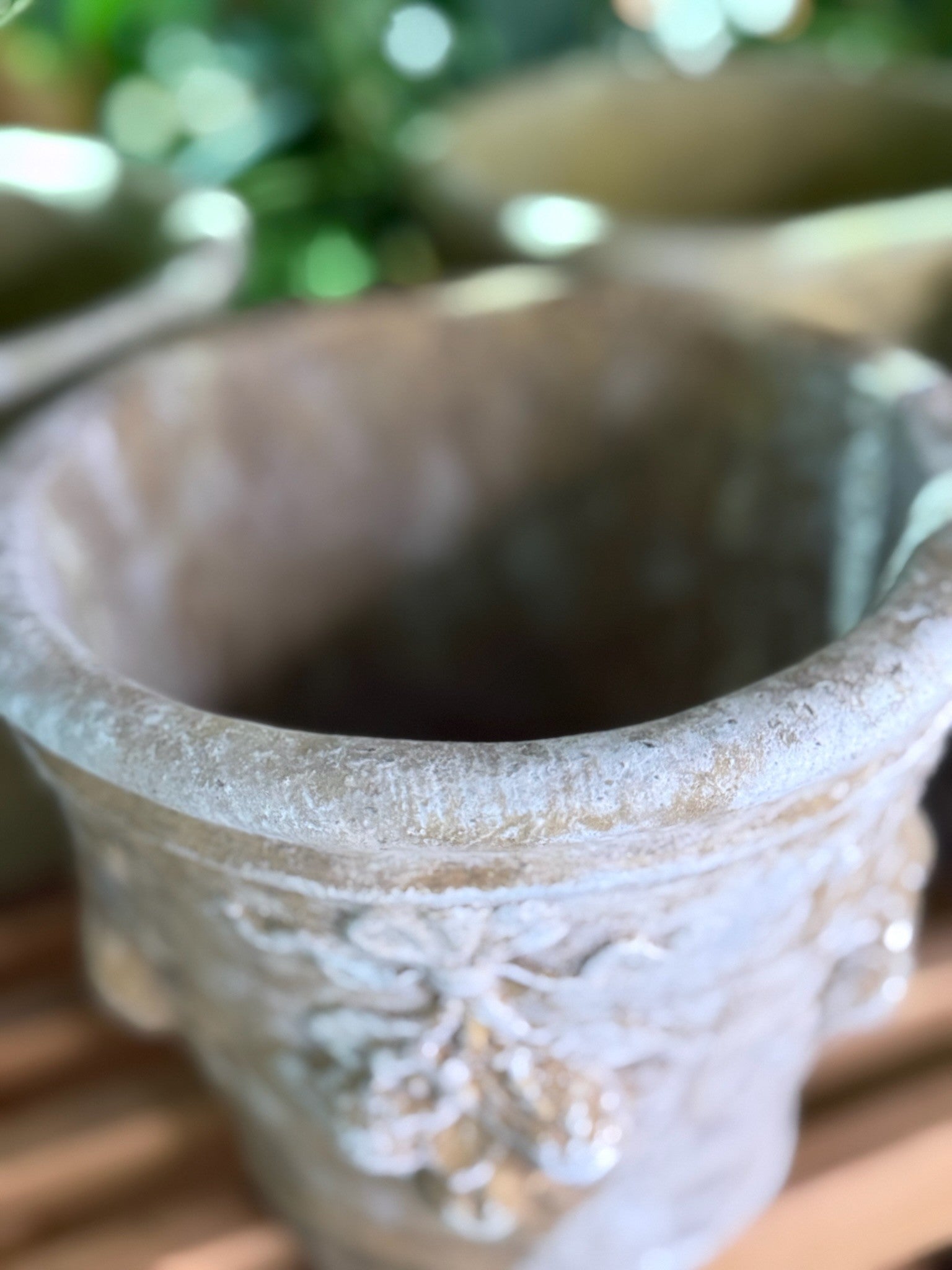 Cherry Jardiniere Close Up