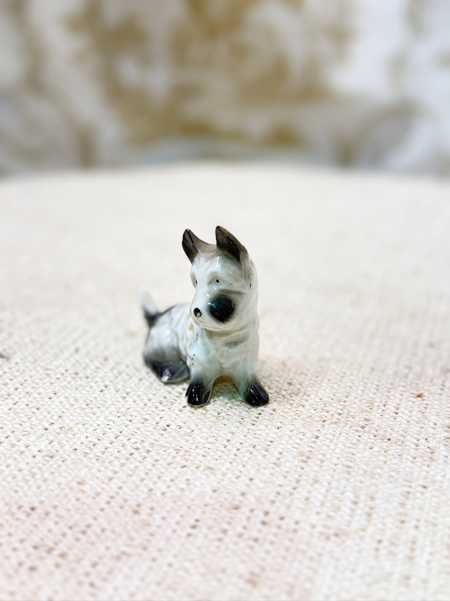 Scottish Terrier - Hand Painted in Germany