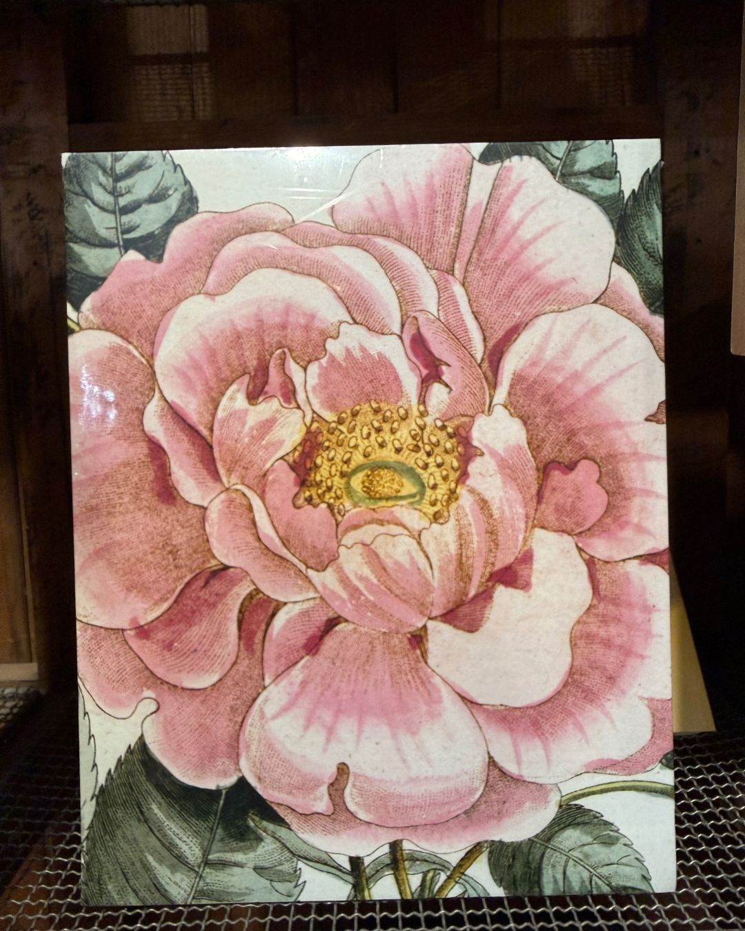 John Derian Picture Book Back