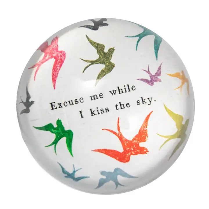 ***Excuse Me While I Kiss the Sky Paperweight