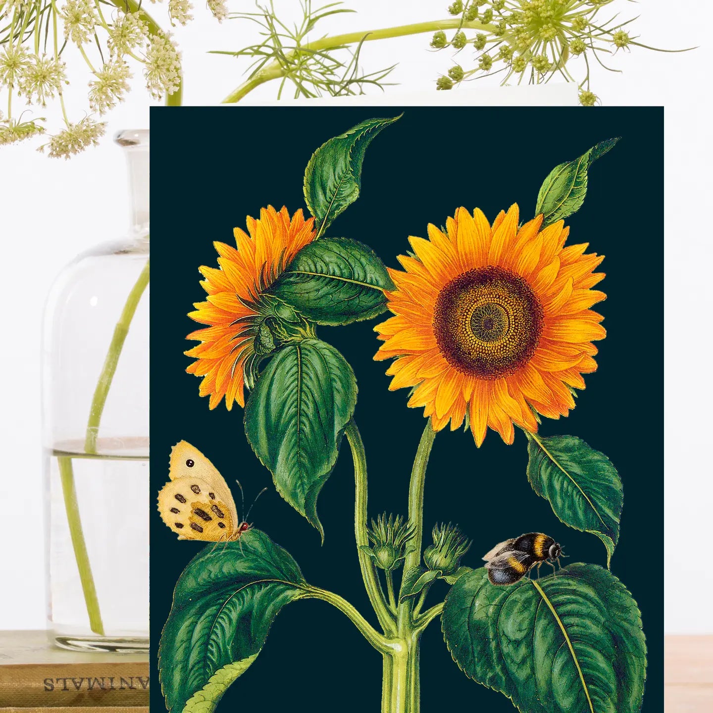 Blank Midnight Botanical Greeting Card