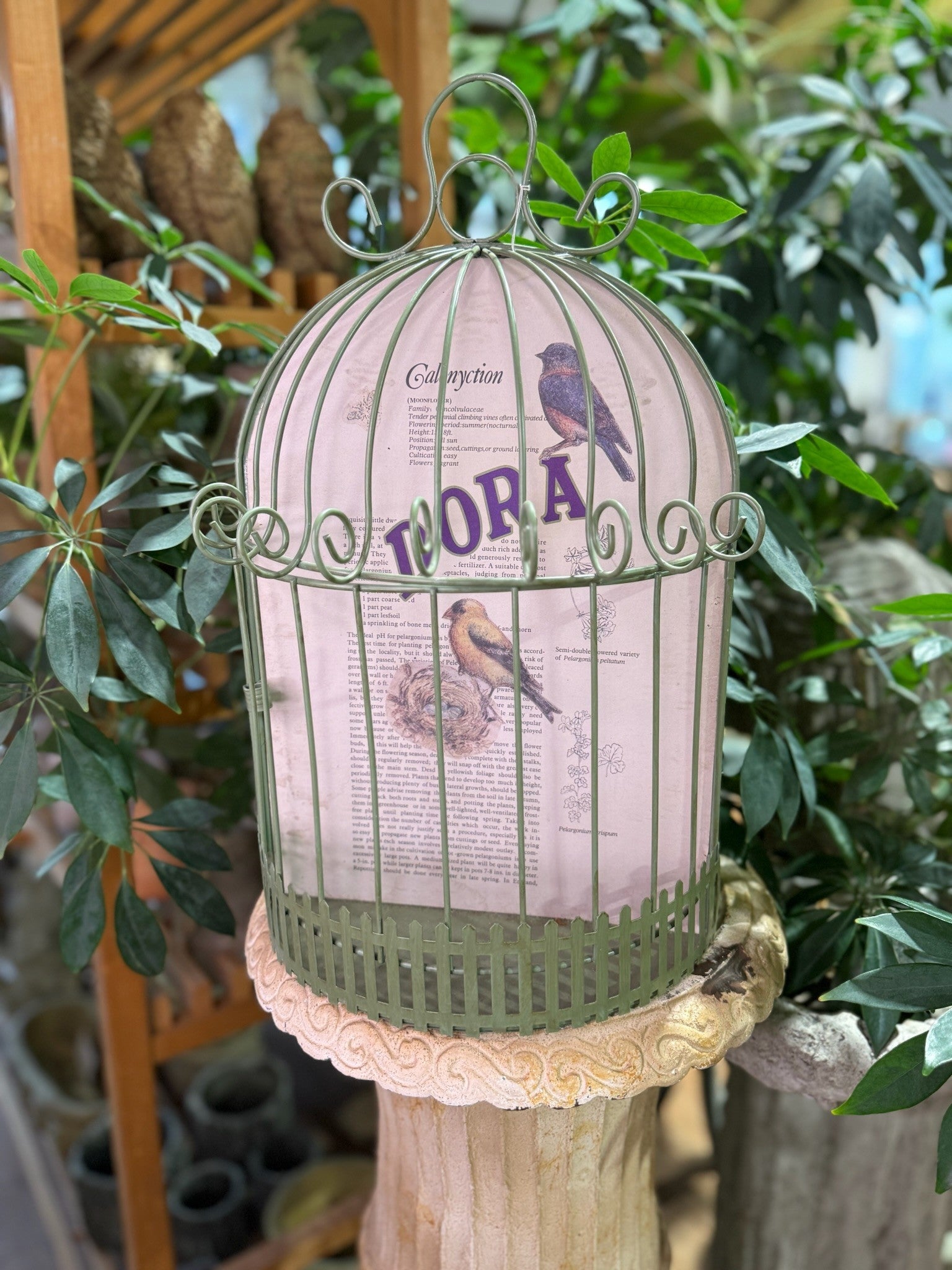 Half Bird Cage - Home Collection Colors