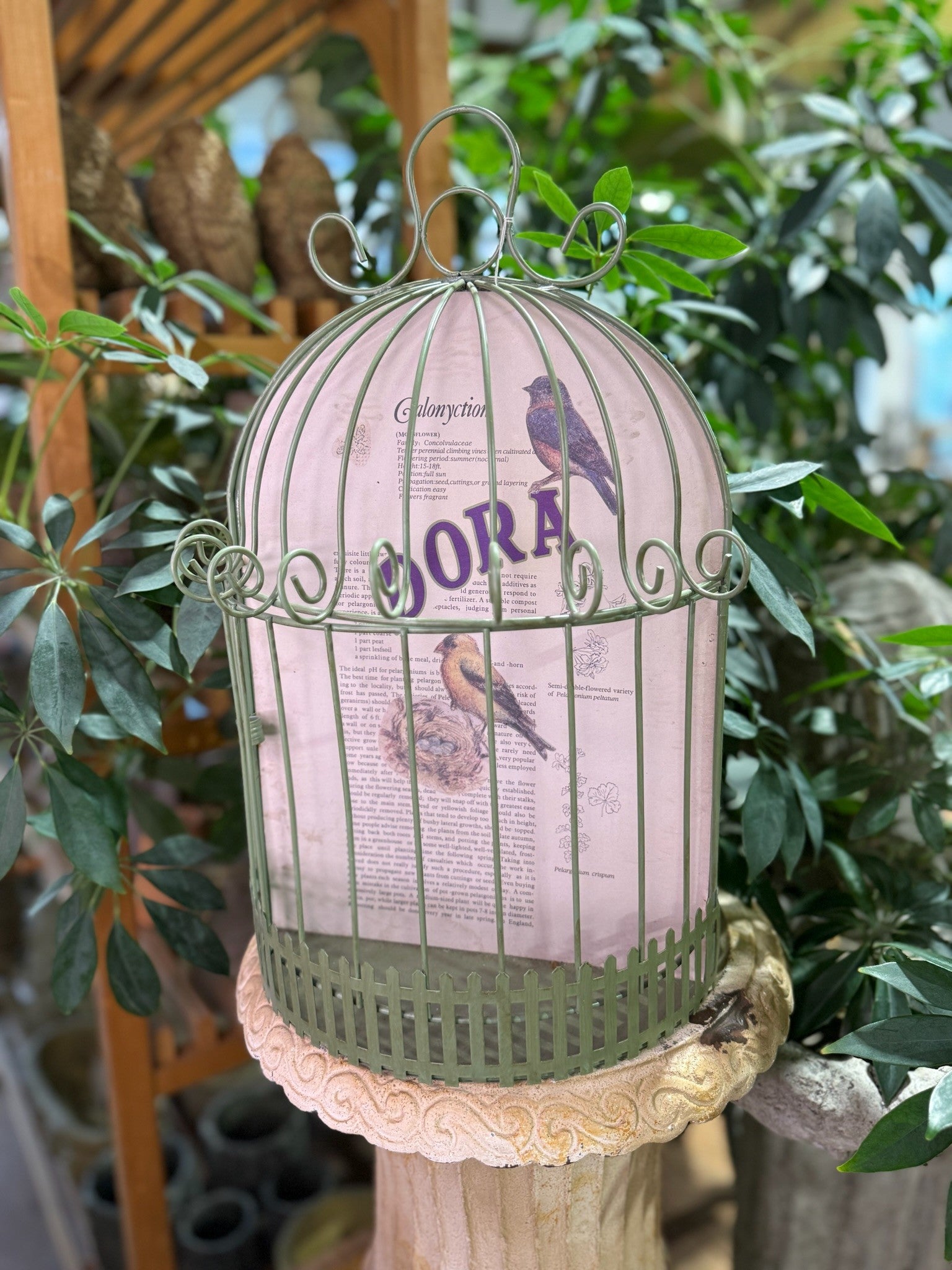 Half Bird Cage - Home Collection 