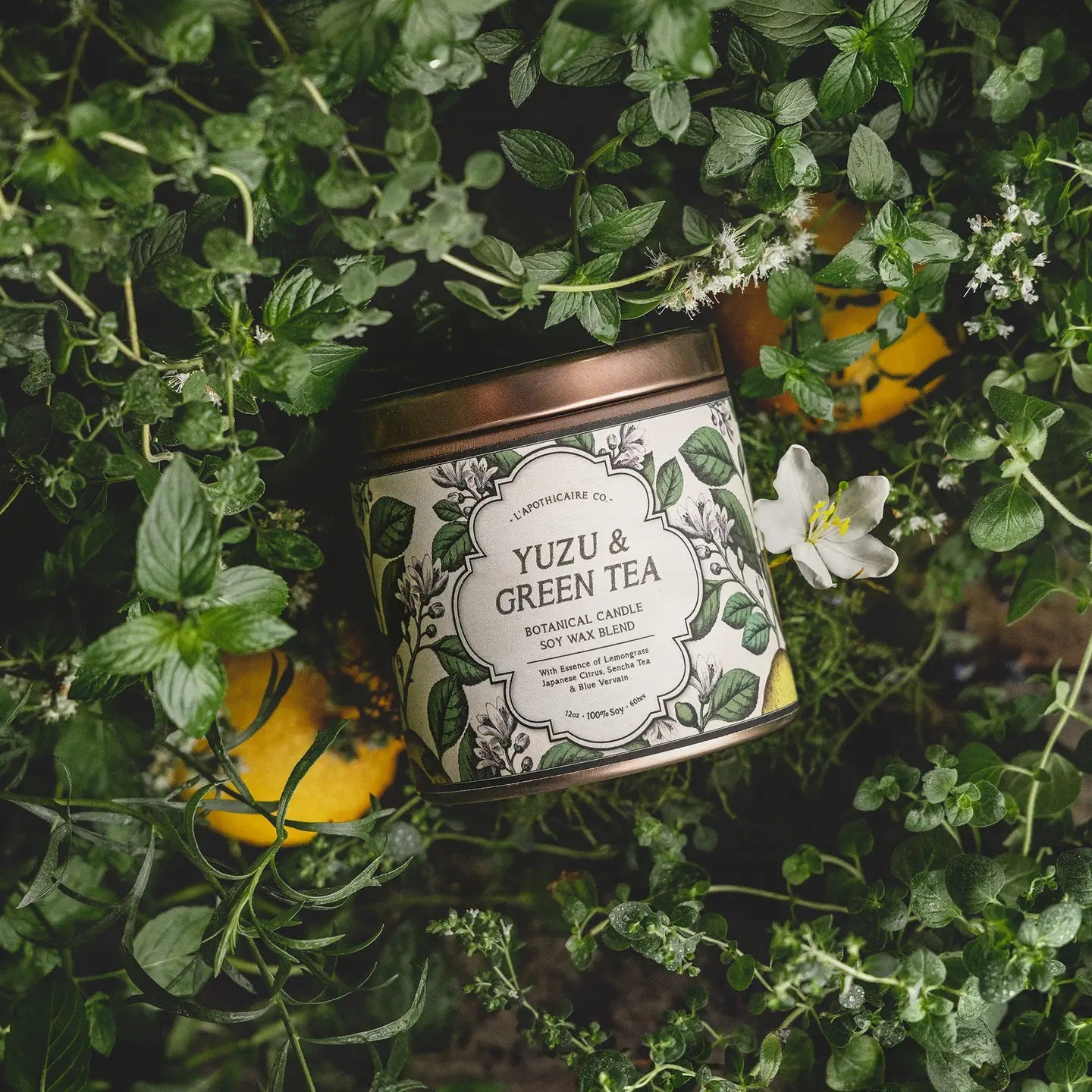 Yuzu + Green Tea Jardin Candle