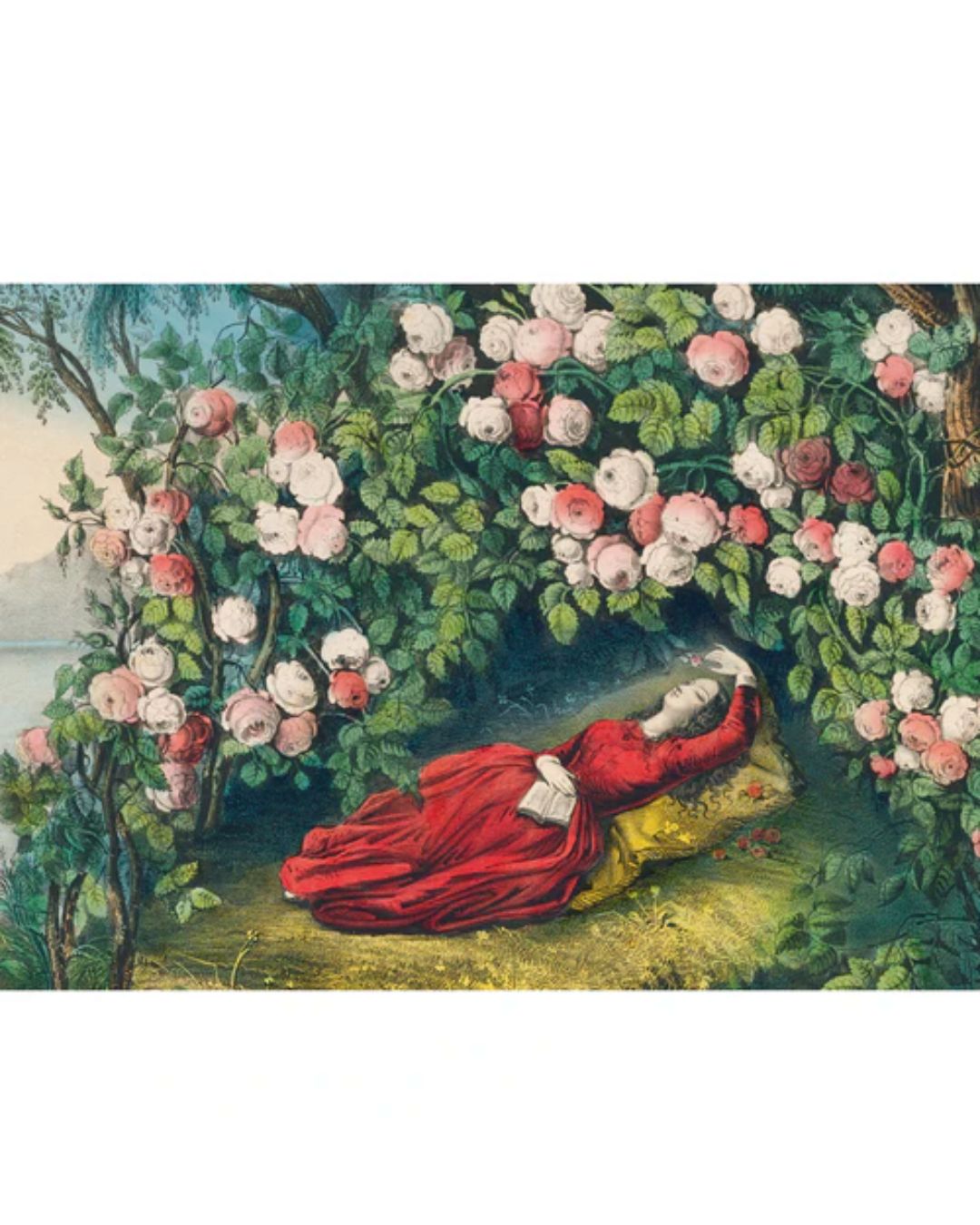 John Derian - The Bower of Roses | 1,000-Piece Puzzle Assembled