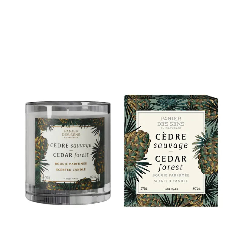 Cedar Forest Scented Candle