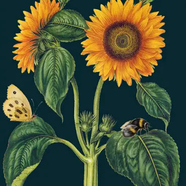 Blank Midnight Botanical Greeting Card